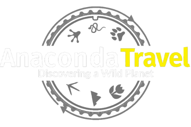 Anaconda Travel