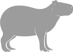 Capibara