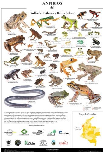 Víboras de Ecuador
