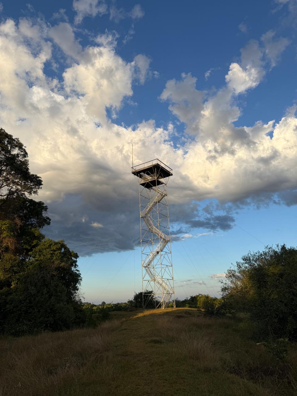 Pousadas and EcoLodges on the Transpantaneira: Pantanal Experience